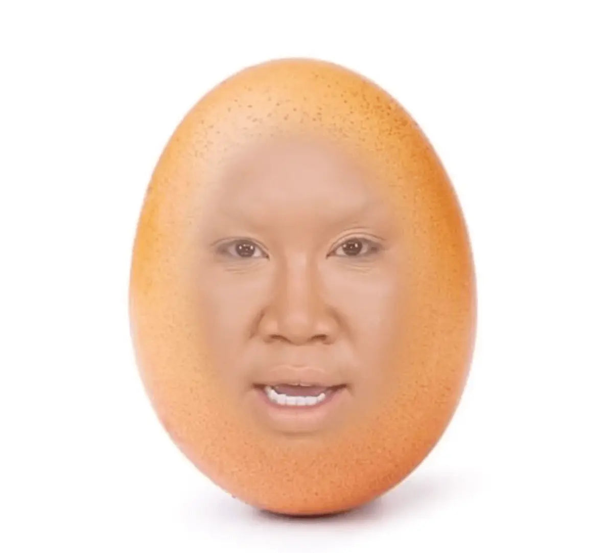 The Egg that Broke the Internet GLAMCOR