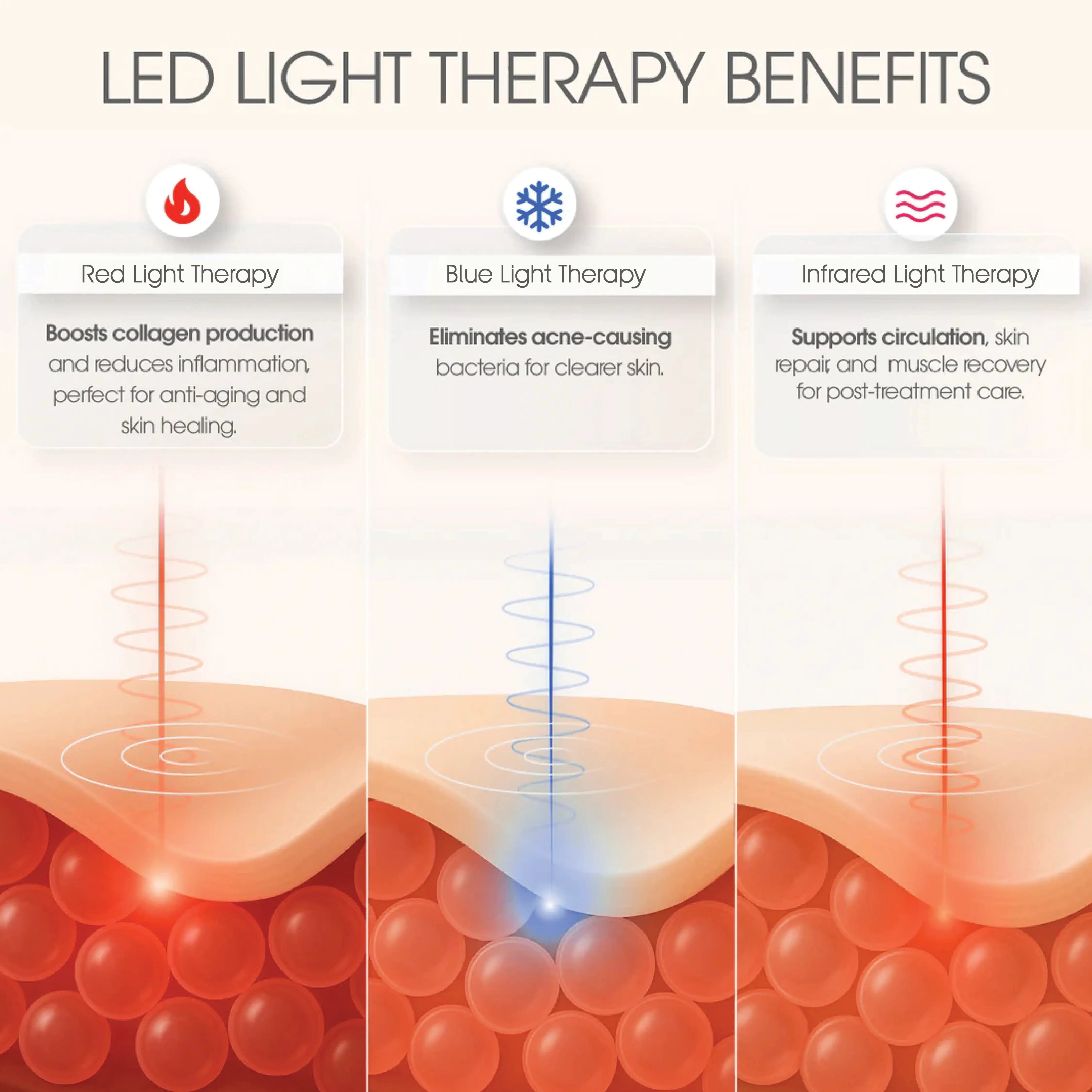 HORIZON Eclipse Pro Kit | International Warehouse GLAMCOR