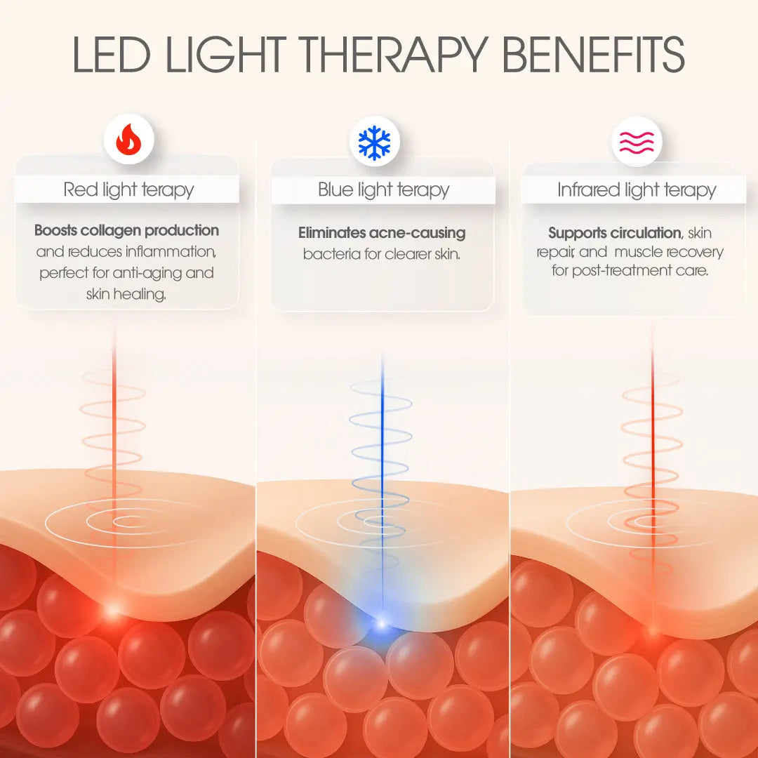 HORIZON Eclipse Pro Kit | International Warehouse GLAMCOR