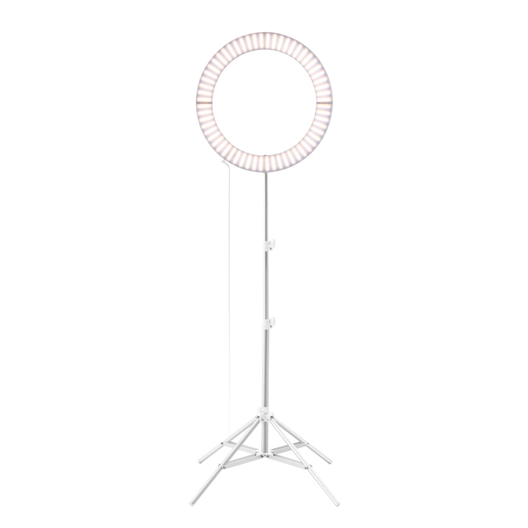 Galileo Ring Light by GLAMCOR in Grey - Stylish Ring Light for Versatile Lighting