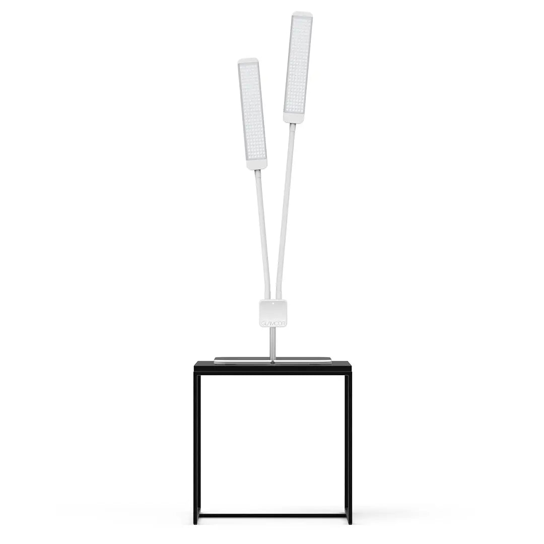 REVOLUTION X - GLAMCOR LIGHTS WHITE/SILVER / SQUARE TABLE BASE (12" x 12") GLAMCOR