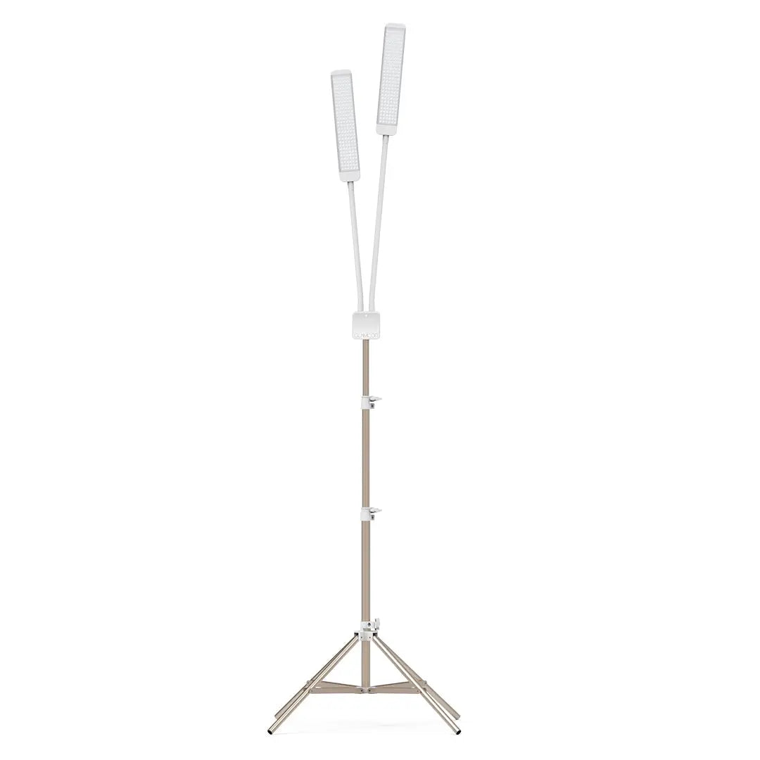 REVOLUTION X - GLAMCOR LIGHTS WHITE/SILVER / WHITE & GOLD TELESCOPIC STAND GLAMCOR