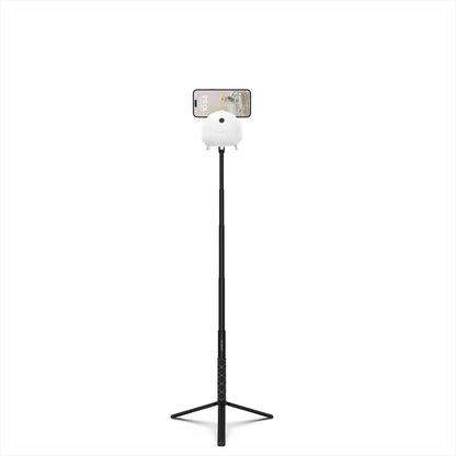 STAR TRACKER | International Warehouse