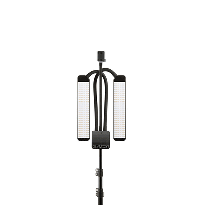 Multimedia X Kit: Perfect lighting for videos and photography