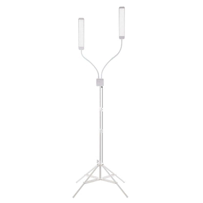REVOLUTION X Pro Kit | International Warehouse - GLAMCOR LIGHTS WHITE/SILVER GLAMCOR
