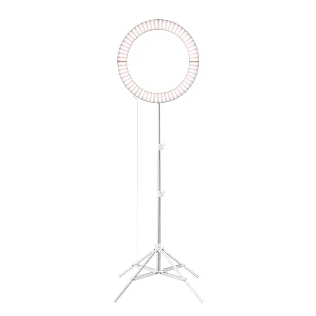 Galileo Ring Light by GLAMCOR in Grey - Stylish Ring Light for Versatile Lighting