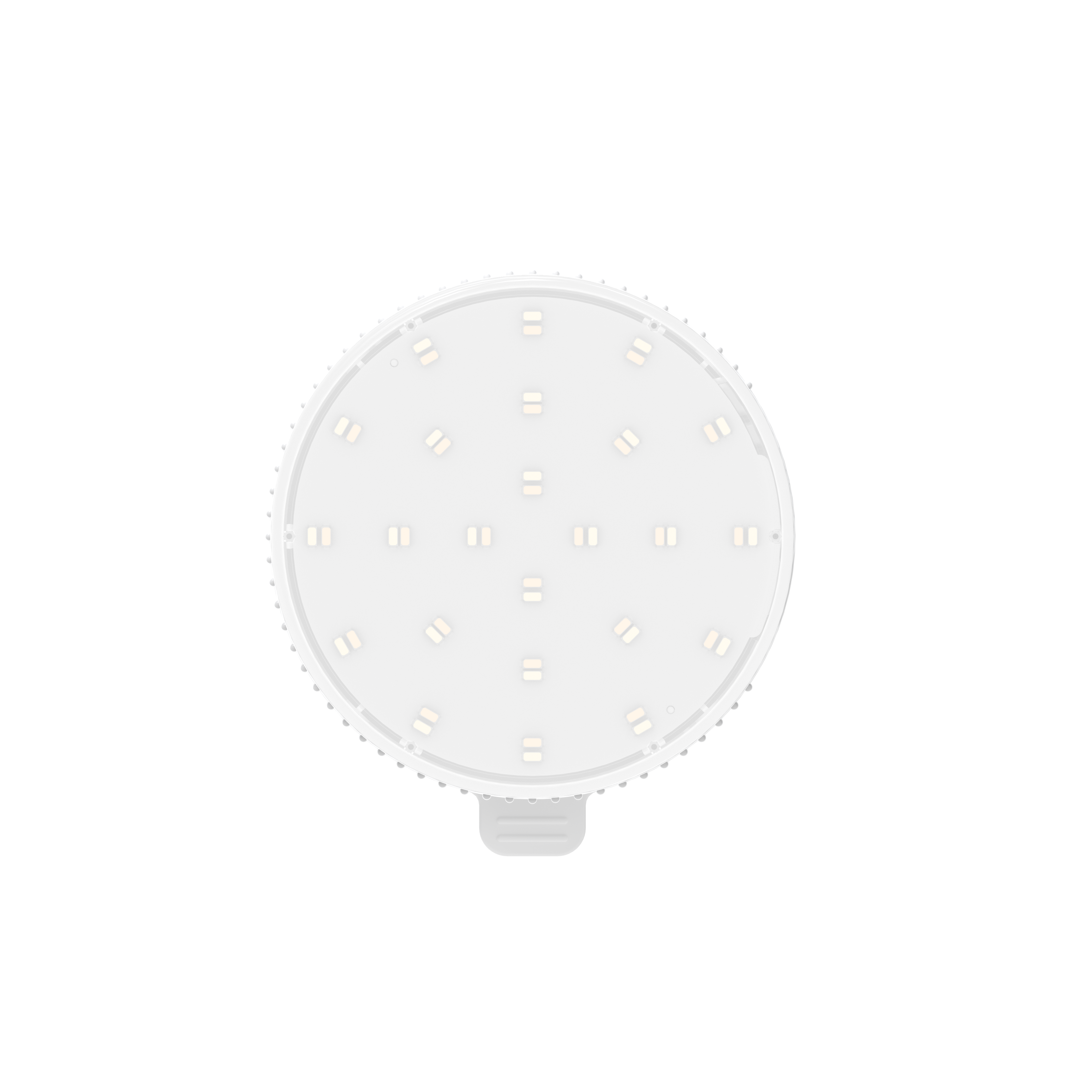 Professional lighting with the GLAMCOR Meteor circle light for live streaming