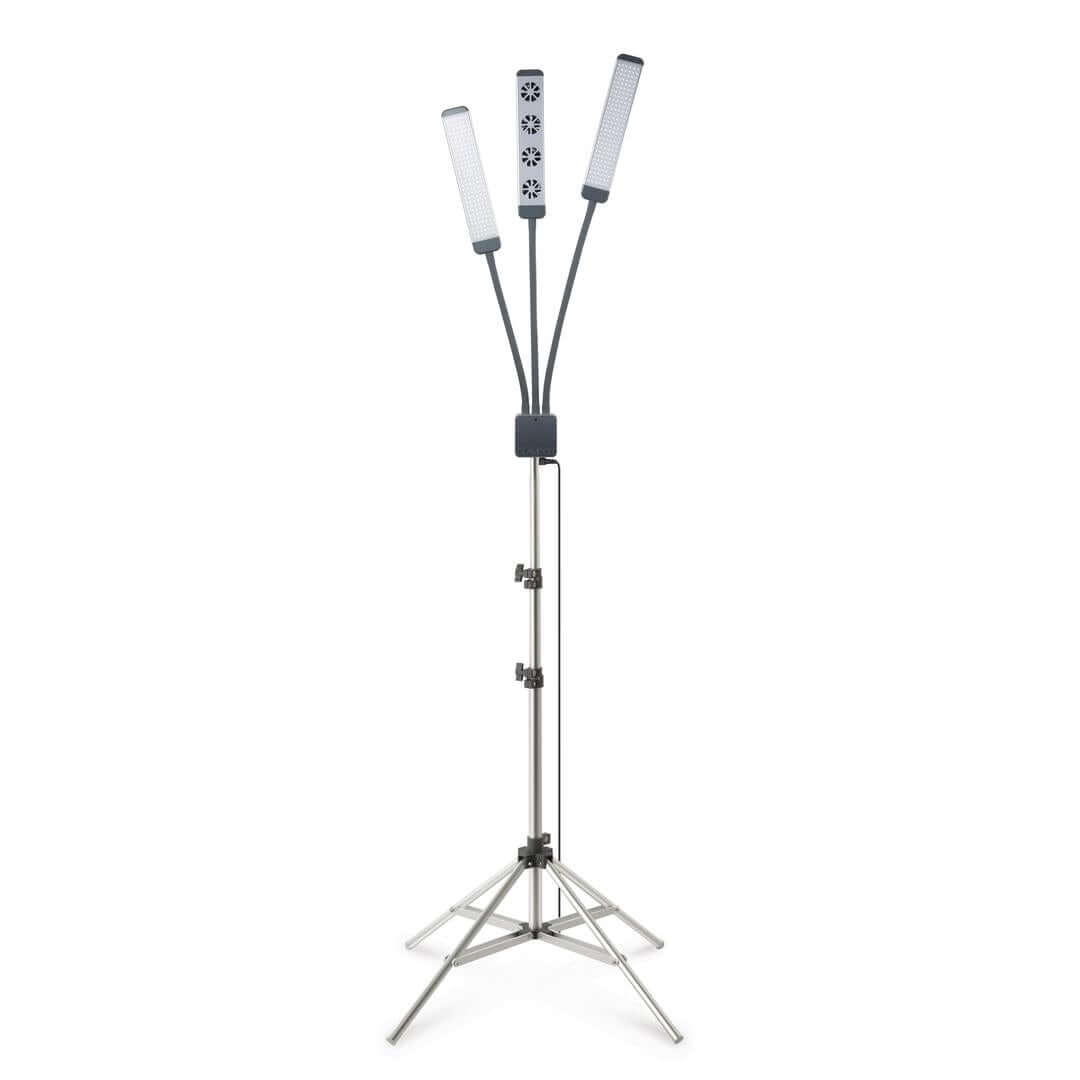 GLAMCOR AIRING Pro Kit with LED Light and Fan - Perfect for Beauty Professionals