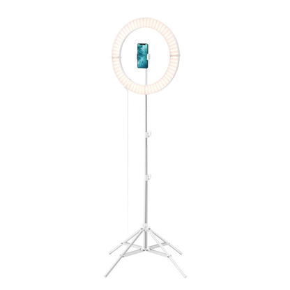 Galileo Ring Lighting in White - Customize Your Lighting Experience in a Seamless Way