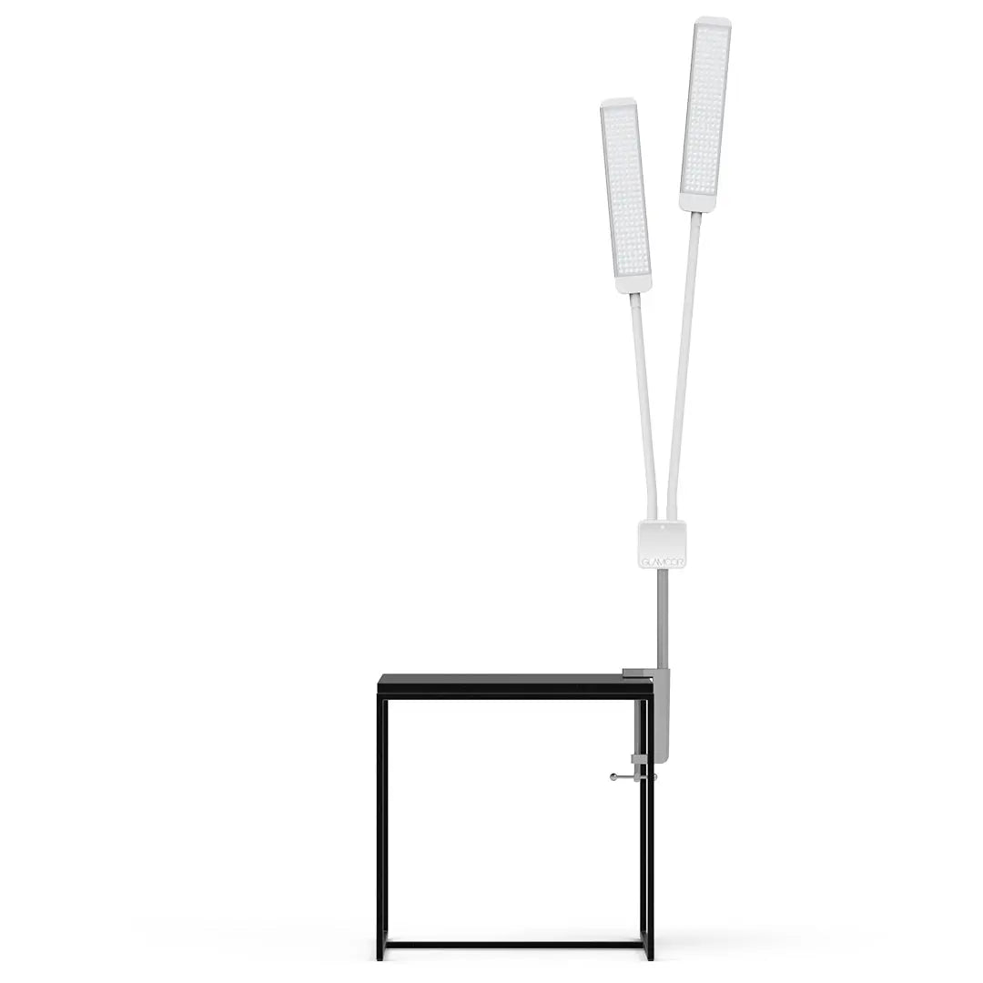 REVOLUTION X - GLAMCOR LIGHTS WHITE/SILVER / TABLE CLAMP GLAMCOR