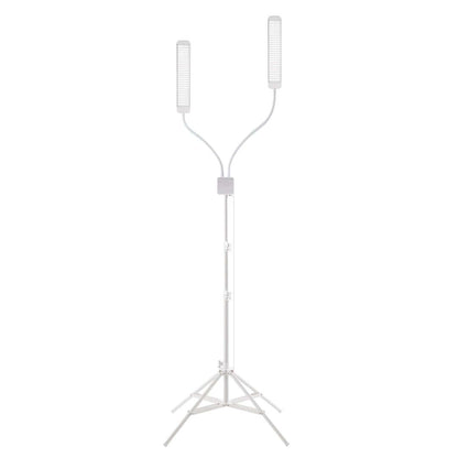 REVOLUTION X Pro Kit - GLAMCOR LIGHTS GLAMCOR