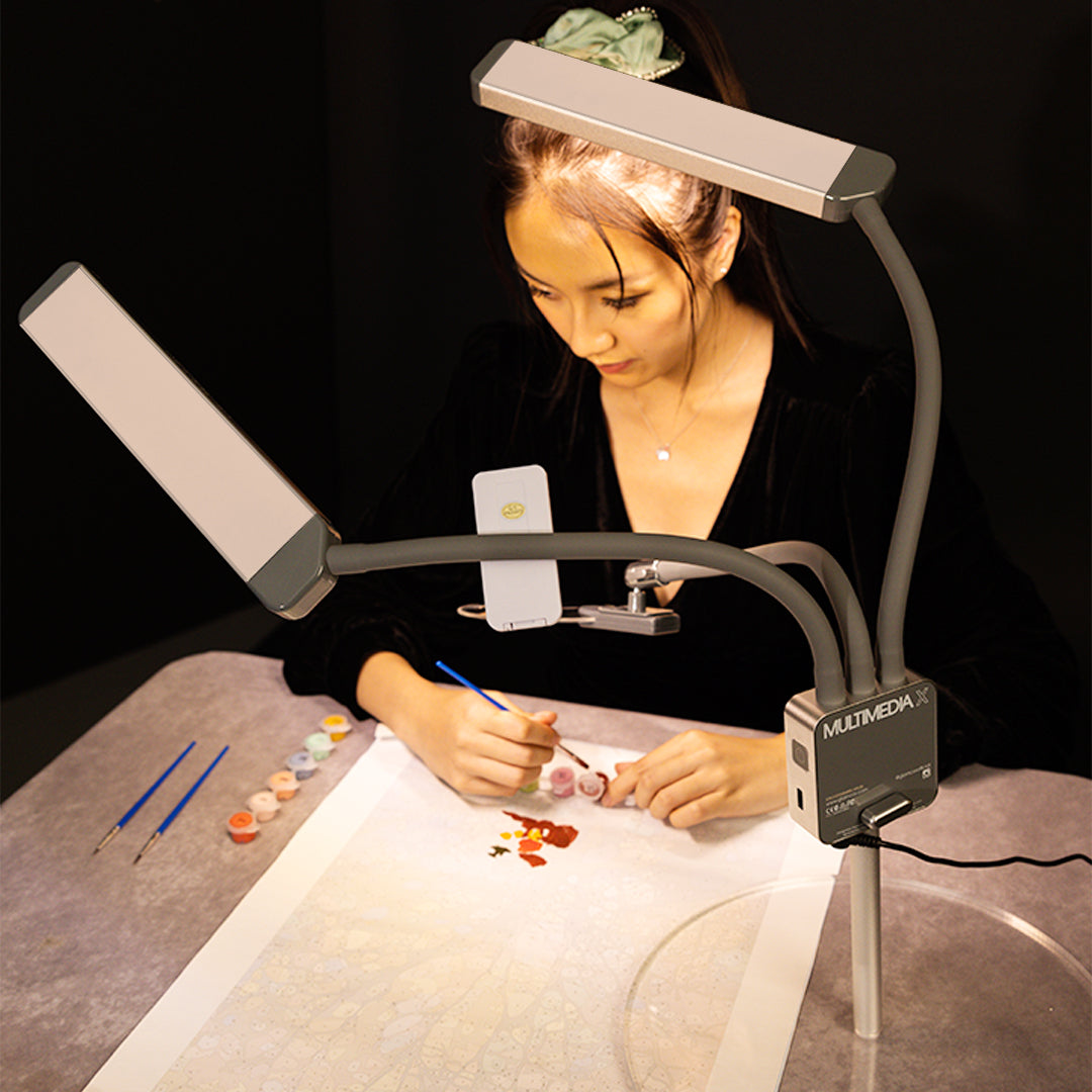 Make your art photoshoot shine with the MULTIMEDIA X, offering stunning lighting for flawless images.